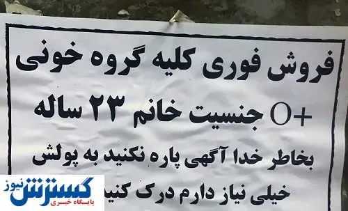 خرید کلیه سالم ایرانی ها به قیمت ۵۰ هزار دلار!