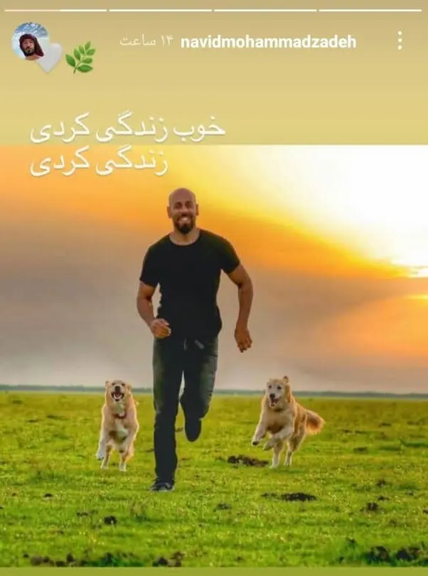 استوری-نوید1
