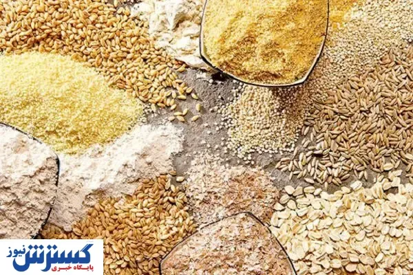 قیمت نهاده های دامی در بازار امروز (۱۴ شهریور) + جدول