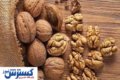خطر در کمین بازار گردو / واردات ضروری می شود؟