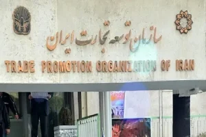 همه چیز درباره رییس جدید سازمان توسعه تجارت