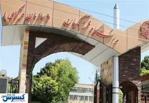 چند معلم جدید امسال وارد کادر آموزش و پرورش می شود؟‌