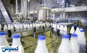 جزئیات جدید از کاهش ۱۰ درصدی قیمت لبنیات