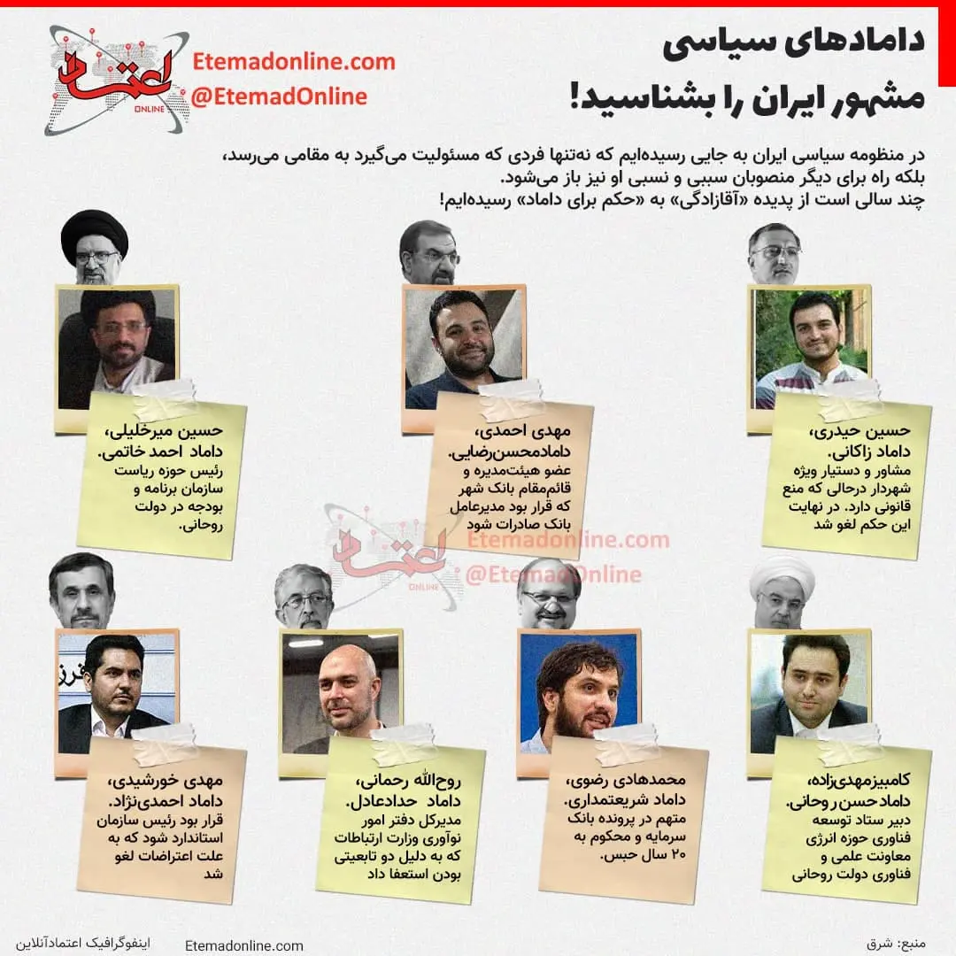 داماد-سیاسی