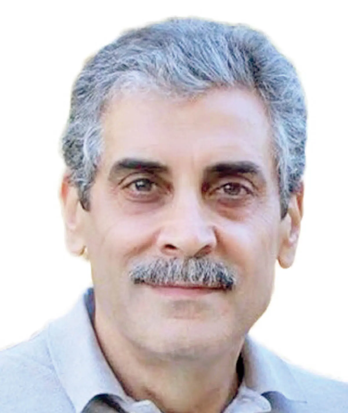 سلطان-محمدی
