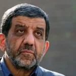 ضرغامی: خانههای تاریخی محل سگ و گربه شدهاند