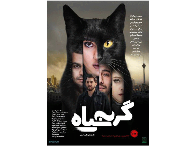 گربه سیاه
