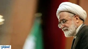 حضور کروبی در مهمانی منتجب نیا + عکس