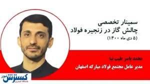 طیب نیا: مزیت تولید فولاد دسترسی به گاز ارزان است