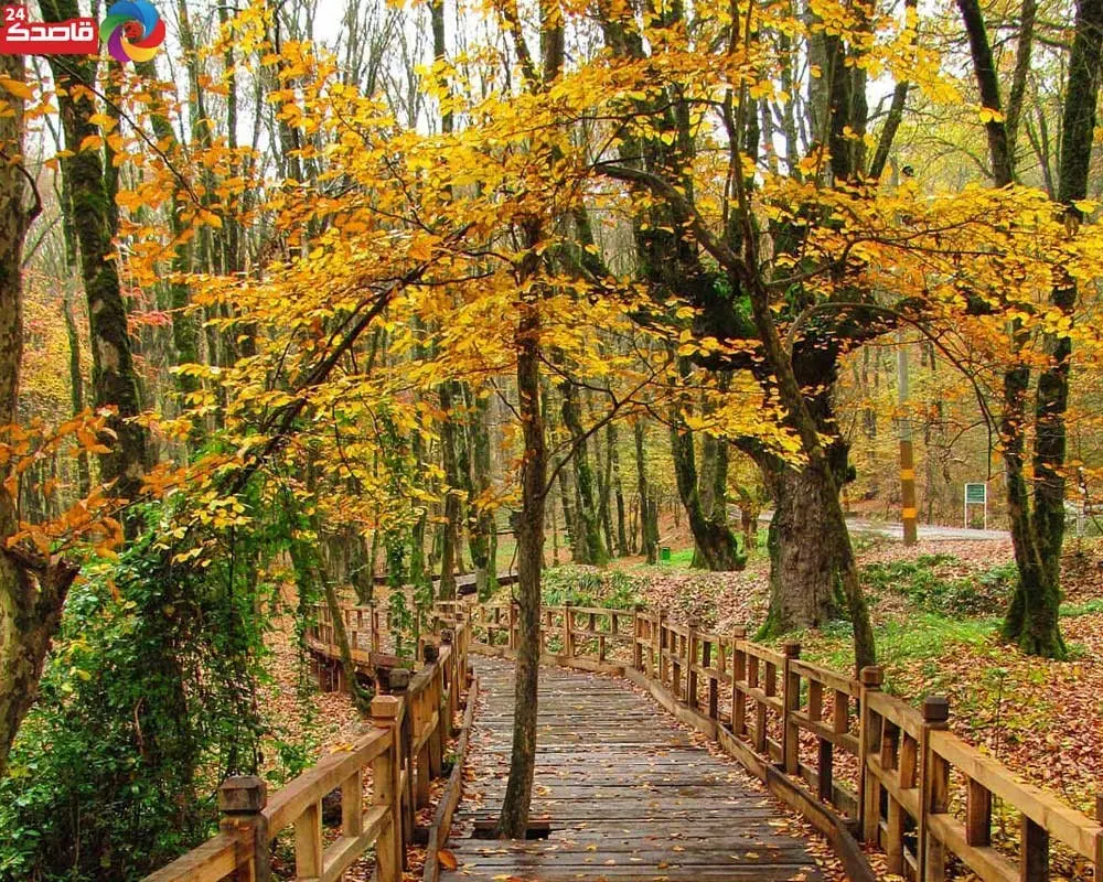 تبریز