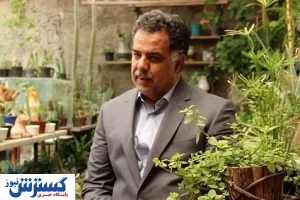 توت فرنگی لاکچری تر شد / هر کیلو ۲۰۰ هزار تومان ناقابل
