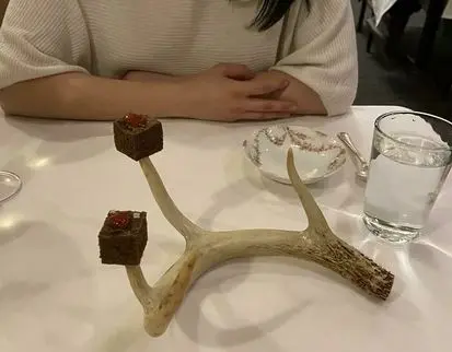 سرو-غذا۲