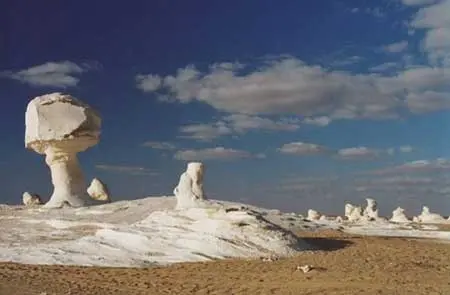 صحرا-کویر