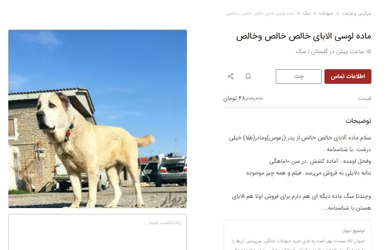 قیمت-سگ-گله-۱