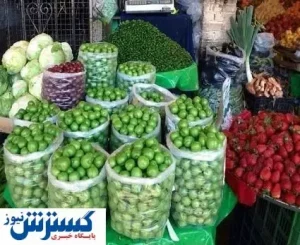 گوجه فرنگی و گوجه سبز از این تاریخ ارزان می‌شود