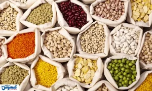 حبوبات گران می شود و قشر ضعیف آسیب می بیند