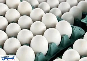 قیمت مصوب تخم‌مرغ اعلام شد / هرشانه ۷۶ هزار تومان!