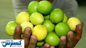 آبلیمو در بازار چند؟
