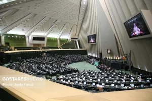 تذکر نماینده مجلس درباره گرانی اقلام مصرفی مردم