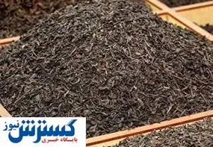 افزایش ۴۹ درصدی واردات چای