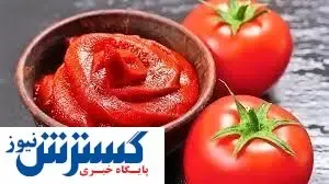 قیمت رب گوجه فرنگی پا در هوا ماند!