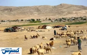سیل عشایر را عاصی کرد