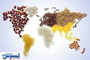 بدون امنیت غذایی، توسعه معنا ندارد