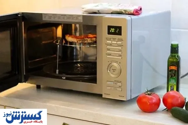 ۱۰۰ میلیون ناقابل برای خرید یک ماکروویو / ۲ فصل از حقوق یک کارگر خرج خرید این محصول می‌شود