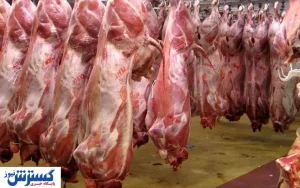 قیمت گوشت قرمز در خرده فروشی ها اعلام شد