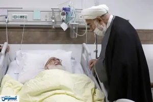 عیادت رئیس دفتر رهبری از آیت‌الله نوری همدانی