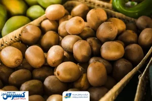 از سرگیری صادرات کیوی به هند