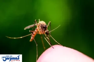 هشدار درباره شیوع مالاریا در این استان
