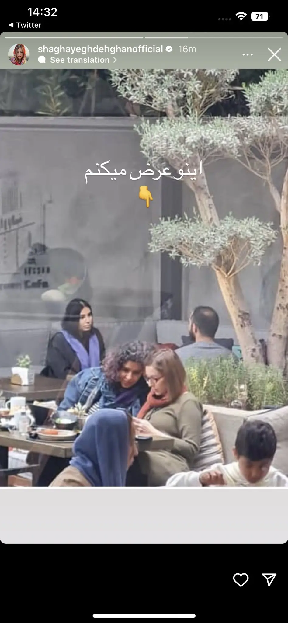 شقایق-دهقان1