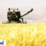 طبل توخالی حمایت