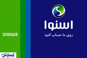 با جاروبرقی اسنوا، زیبایی درخشانی به محیط خانه هدیه دهید