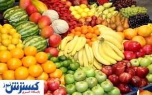 یک کیلو موز چند دلار؟ / دست دلالان باید قطع شود