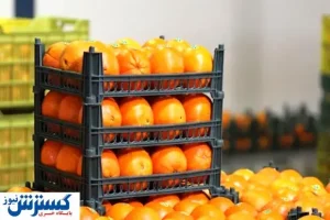 مرکبات ایران در راه چین