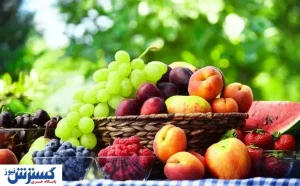 میوه های گران در میادین شهرداری / موز کیلویی چند؟
