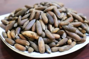 چلغوز هم لاکچری شد / کیلویی ۱ میلیون!