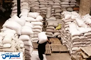 واردات برنج؛ تیشه به ریشه برنجکاران می‌زند
