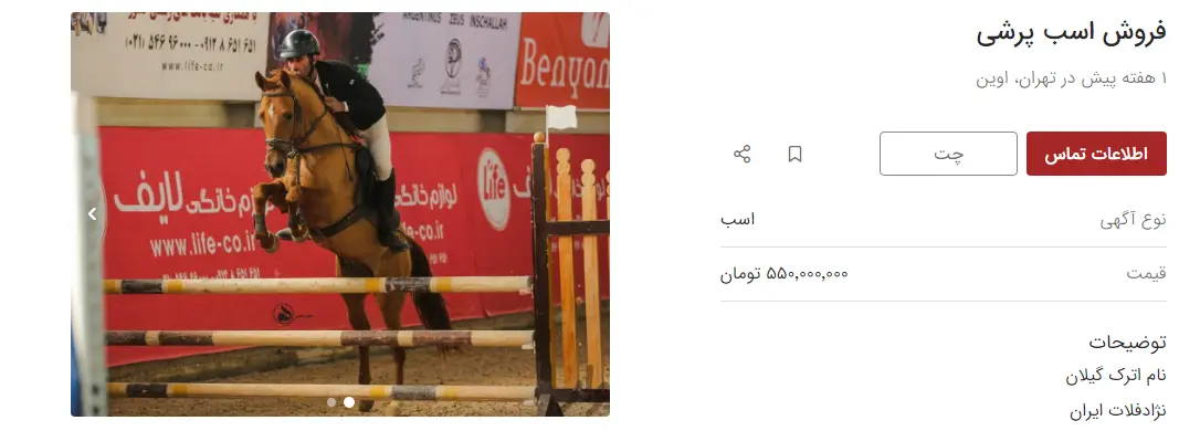 اسب-مسابقه