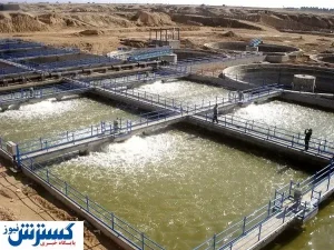 سیراب به سبک فناوری