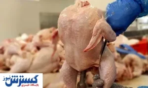 جدیدترین قیمت مرغ اعلام شد