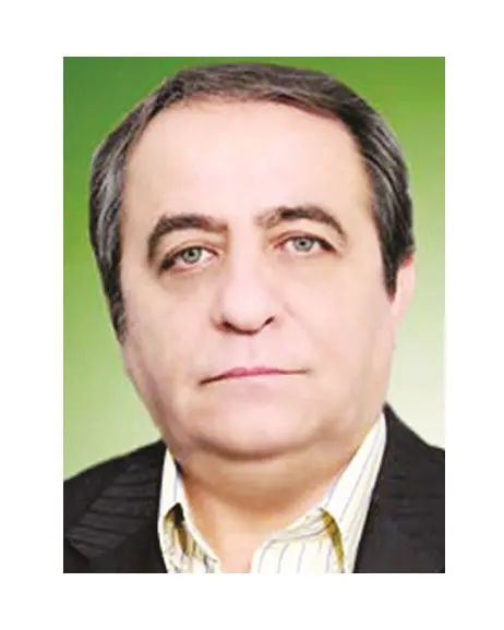 کشتی آرای