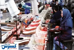 صنعت کفش را دست‌کم نگیریم