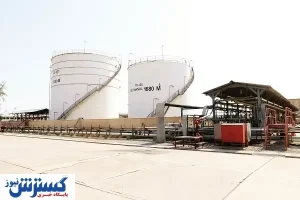تبعات قیمت‌گذاری دستوری خوراک پتروشیمی‌ها