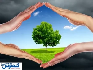 مافیای ساخت و ساز توسط دولت و شهرداری حمایت می شود
