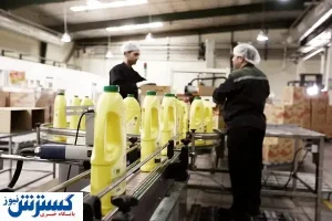 تولیدکنندگان بذر، بازنده بازی مافیا
