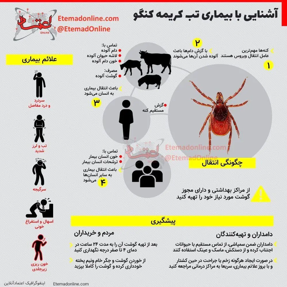 تب-کریمه