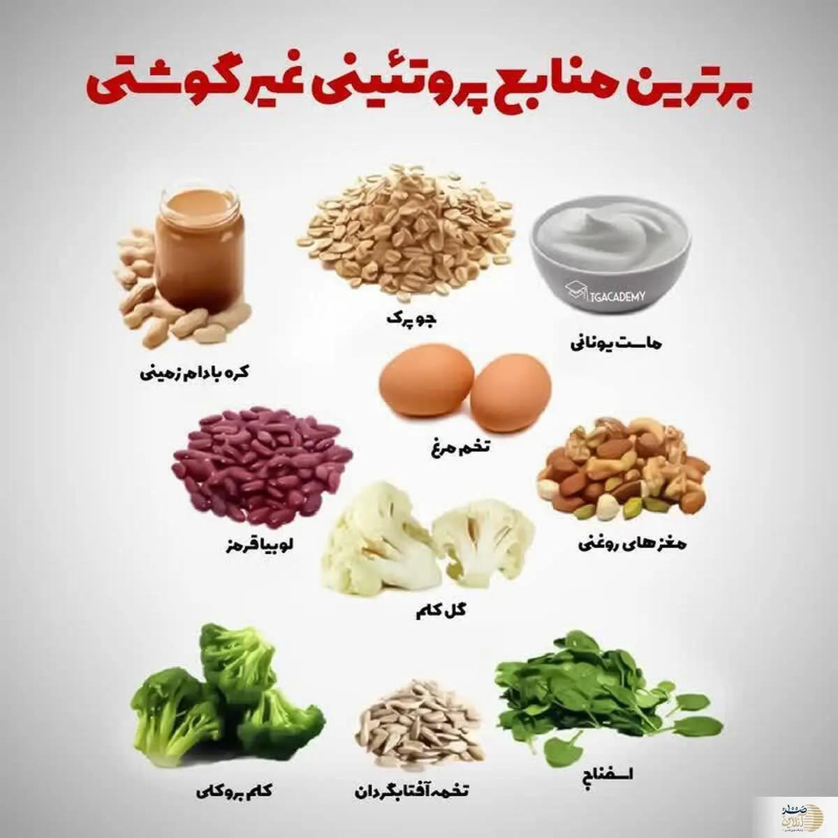 گیاهان